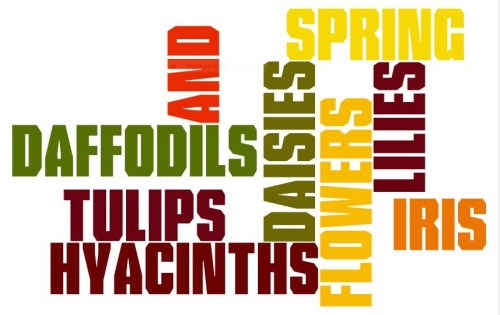 flower wordle