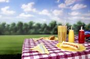 Outdoor Vinyl Tablecloth
