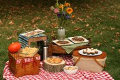 food and tablecloth for camping